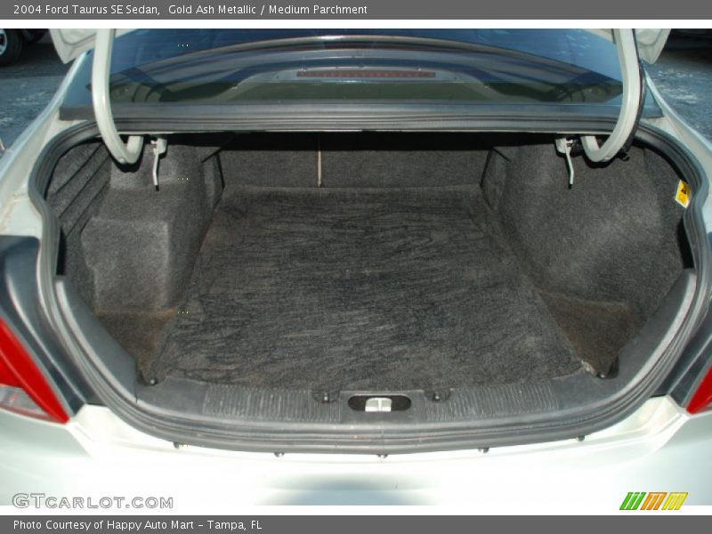 Gold Ash Metallic / Medium Parchment 2004 Ford Taurus SE Sedan