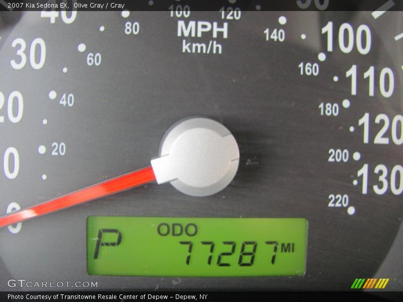 Olive Gray / Gray 2007 Kia Sedona EX