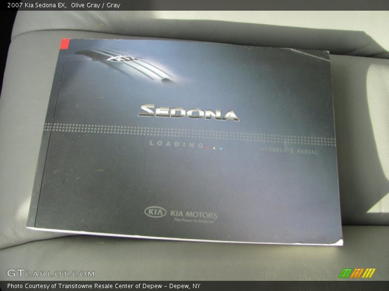 Olive Gray / Gray 2007 Kia Sedona EX