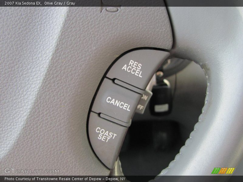 Olive Gray / Gray 2007 Kia Sedona EX