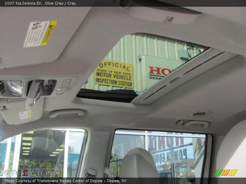 Olive Gray / Gray 2007 Kia Sedona EX