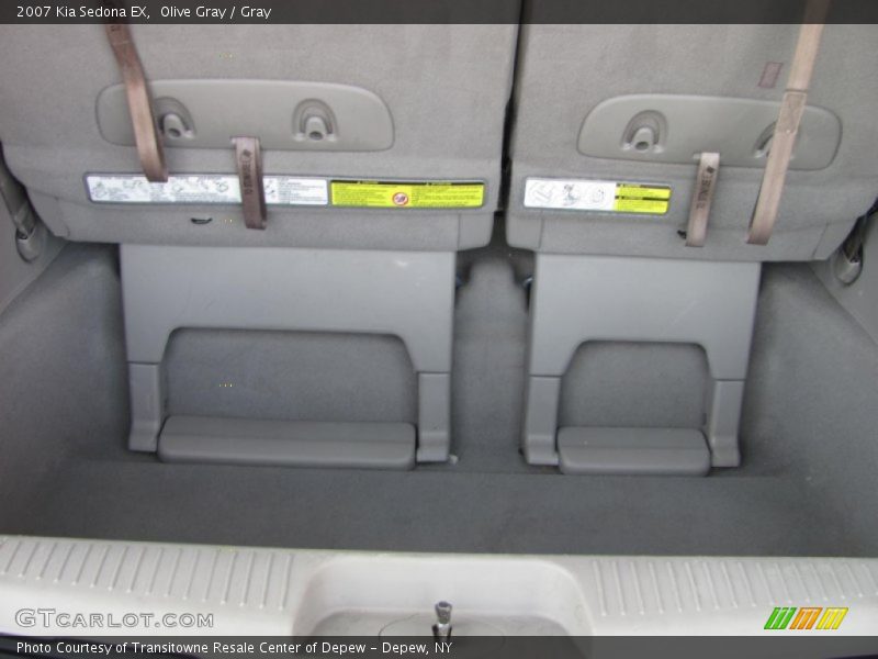 Olive Gray / Gray 2007 Kia Sedona EX