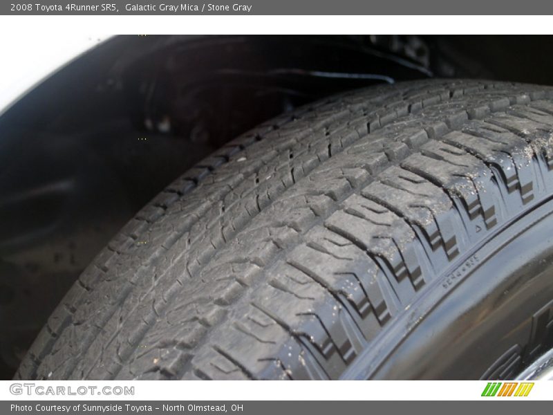 Galactic Gray Mica / Stone Gray 2008 Toyota 4Runner SR5