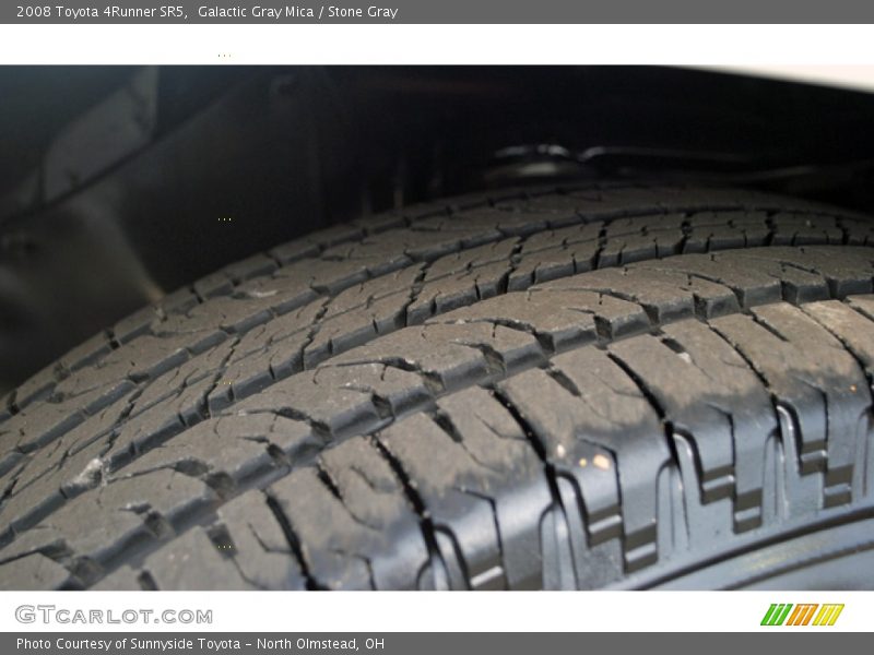 Galactic Gray Mica / Stone Gray 2008 Toyota 4Runner SR5