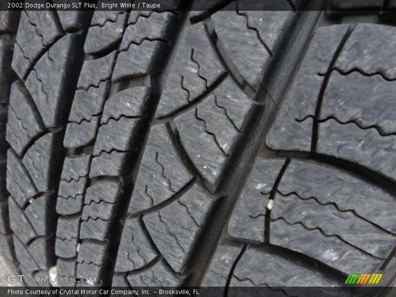 Bright White / Taupe 2002 Dodge Durango SLT Plus