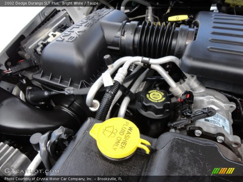 Bright White / Taupe 2002 Dodge Durango SLT Plus