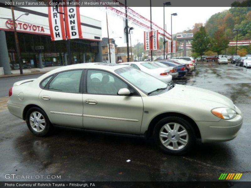 Gold Ash Metallic / Medium Parchment 2003 Ford Taurus SEL
