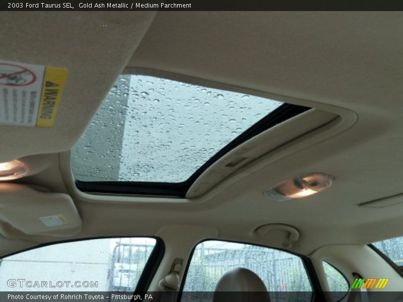 Gold Ash Metallic / Medium Parchment 2003 Ford Taurus SEL
