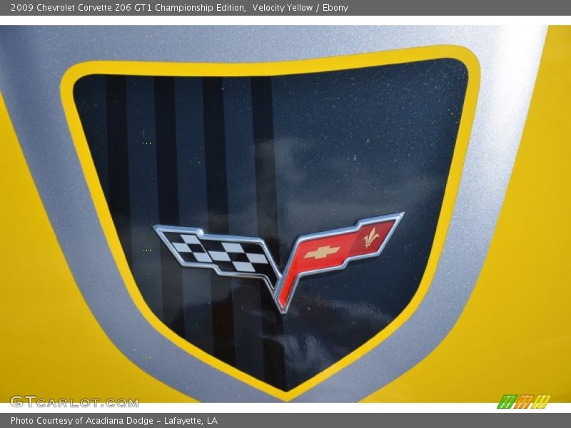  2009 Corvette Z06 GT1 Championship Edition Logo