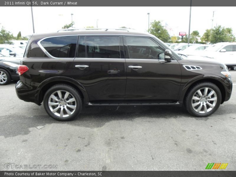 Dark Currant / Wheat 2011 Infiniti QX 56