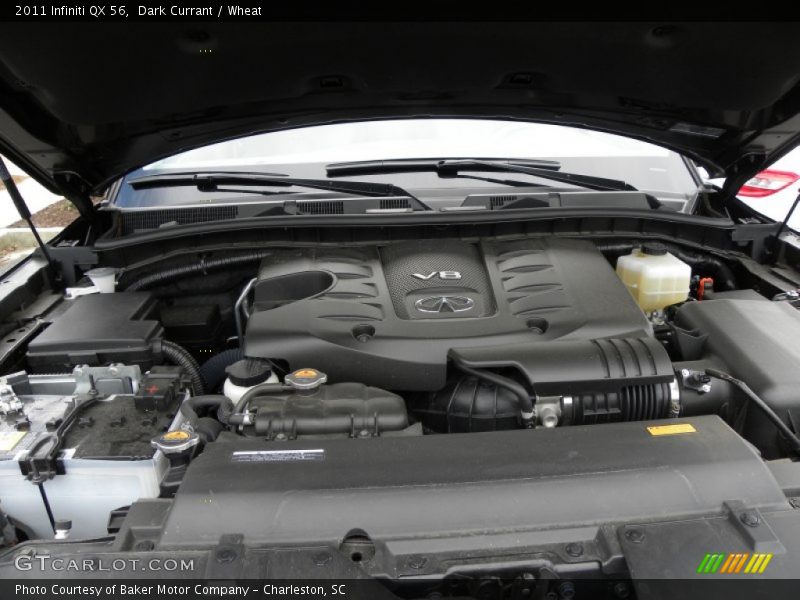 Dark Currant / Wheat 2011 Infiniti QX 56
