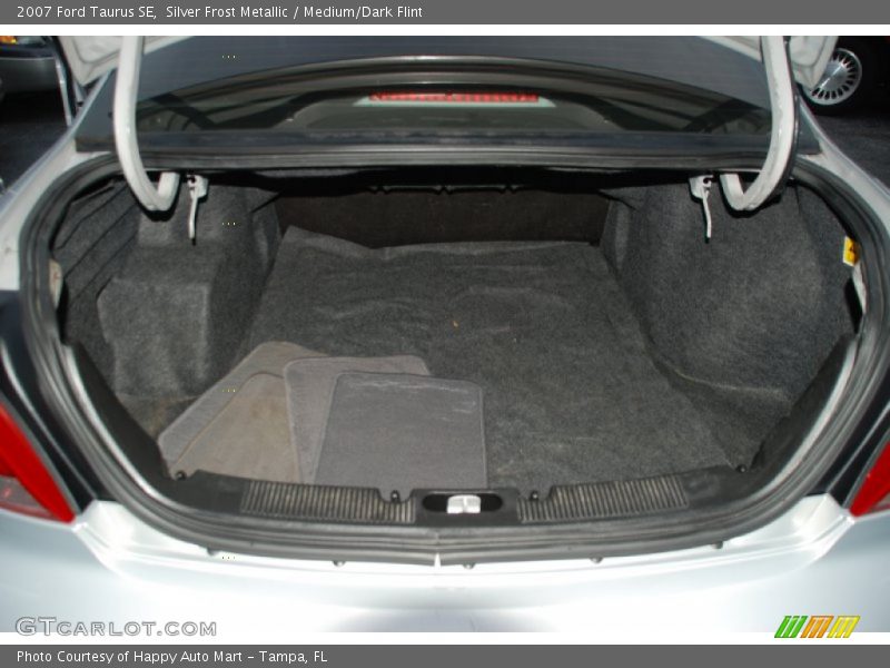 Silver Frost Metallic / Medium/Dark Flint 2007 Ford Taurus SE
