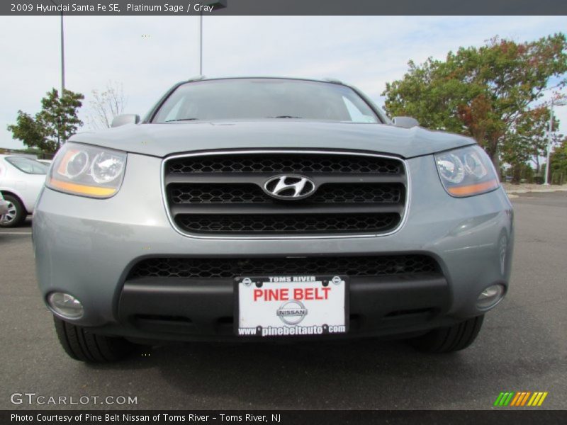 Platinum Sage / Gray 2009 Hyundai Santa Fe SE