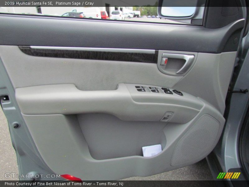 Platinum Sage / Gray 2009 Hyundai Santa Fe SE