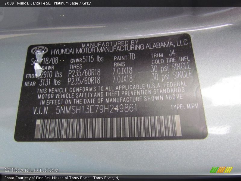 Platinum Sage / Gray 2009 Hyundai Santa Fe SE