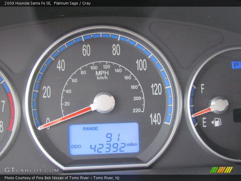 Platinum Sage / Gray 2009 Hyundai Santa Fe SE