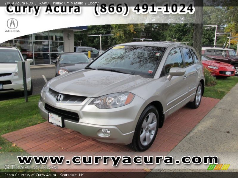 Palladium Metallic / Ebony 2009 Acura RDX SH-AWD