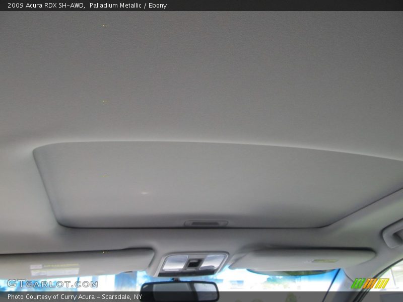 Palladium Metallic / Ebony 2009 Acura RDX SH-AWD