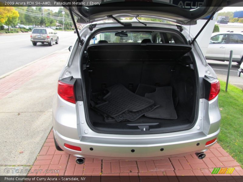 Palladium Metallic / Ebony 2009 Acura RDX SH-AWD