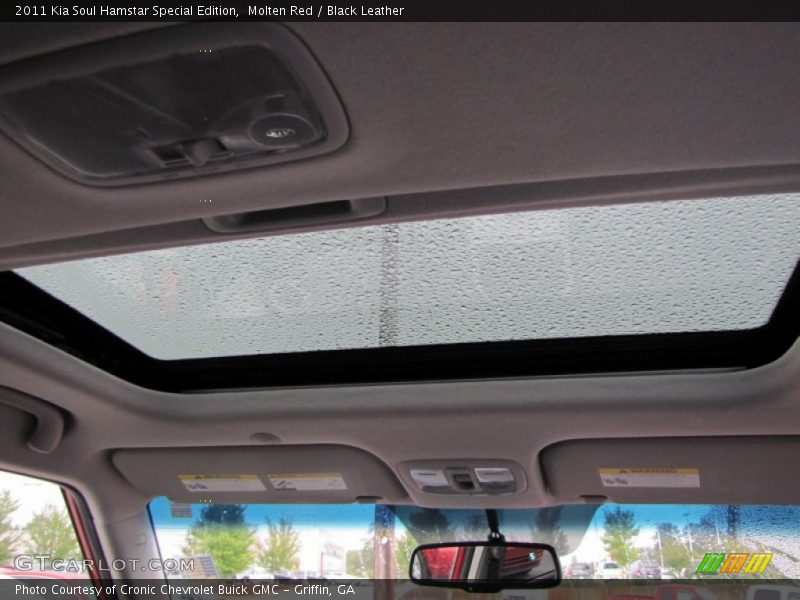 Sunroof of 2011 Soul Hamstar Special Edition