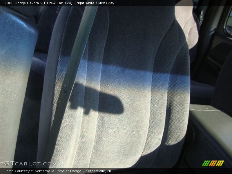 Bright White / Mist Gray 2000 Dodge Dakota SLT Crew Cab 4x4