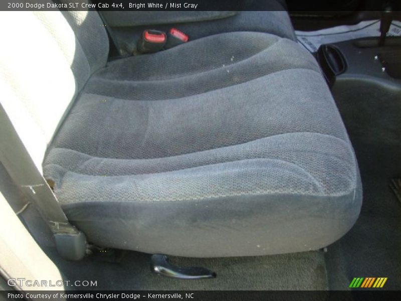 Bright White / Mist Gray 2000 Dodge Dakota SLT Crew Cab 4x4