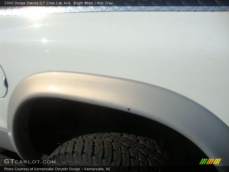 Bright White / Mist Gray 2000 Dodge Dakota SLT Crew Cab 4x4