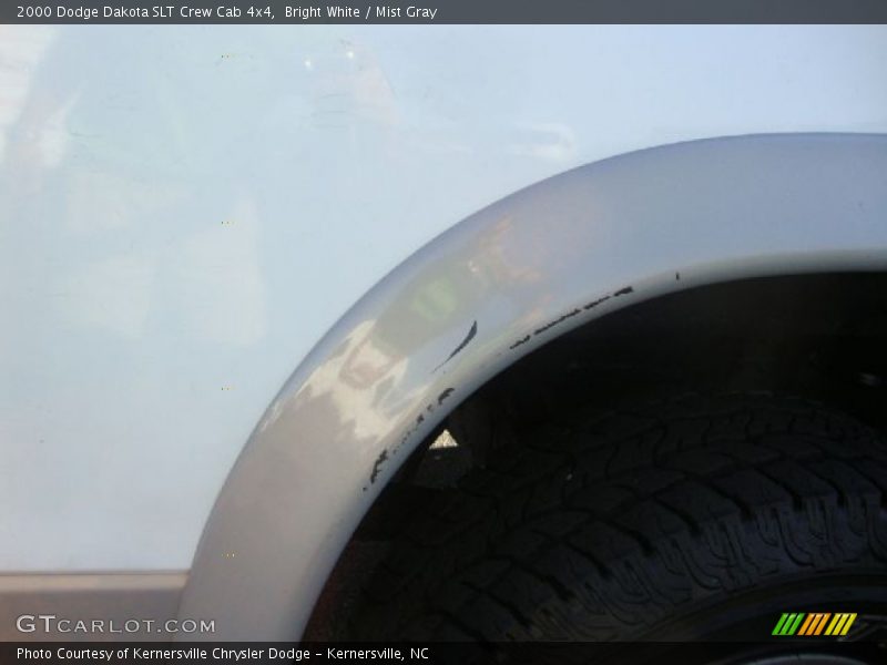Bright White / Mist Gray 2000 Dodge Dakota SLT Crew Cab 4x4
