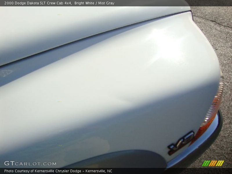 Bright White / Mist Gray 2000 Dodge Dakota SLT Crew Cab 4x4