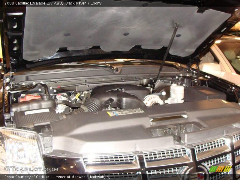 Black Raven / Ebony 2008 Cadillac Escalade ESV AWD