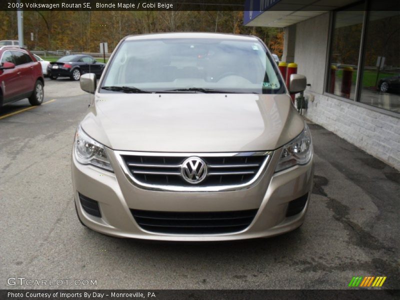 Blonde Maple / Gobi Beige 2009 Volkswagen Routan SE