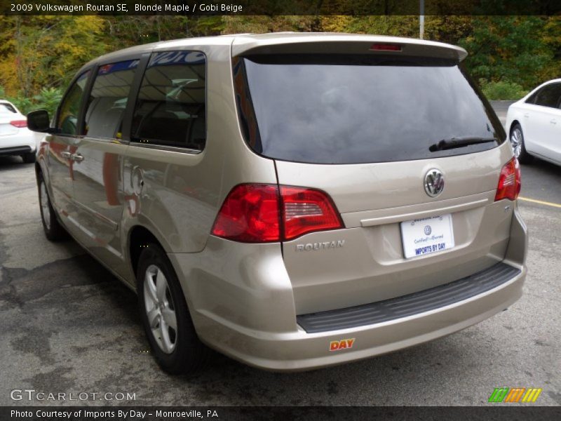 Blonde Maple / Gobi Beige 2009 Volkswagen Routan SE