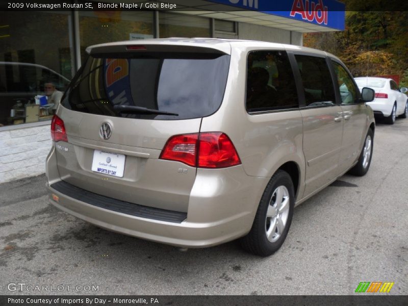 Blonde Maple / Gobi Beige 2009 Volkswagen Routan SE