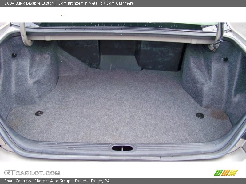 Light Bronzemist Metallic / Light Cashmere 2004 Buick LeSabre Custom