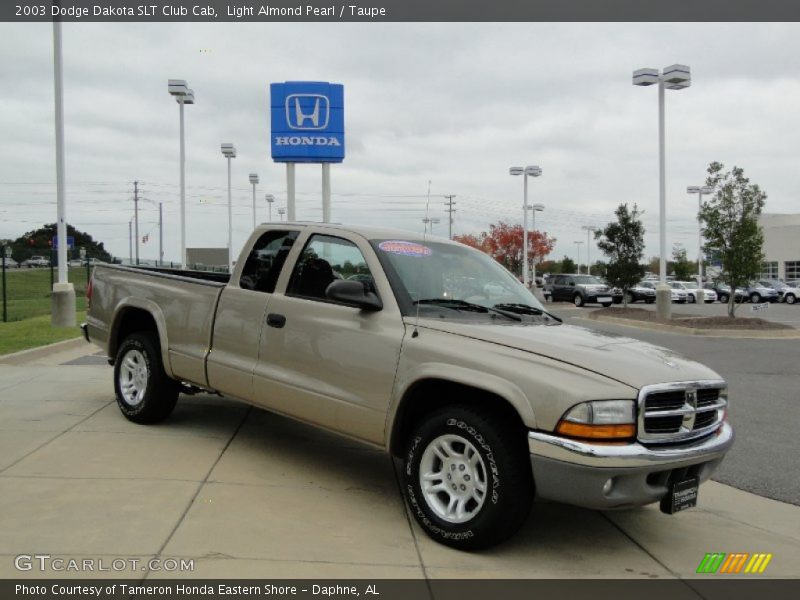 Light Almond Pearl / Taupe 2003 Dodge Dakota SLT Club Cab