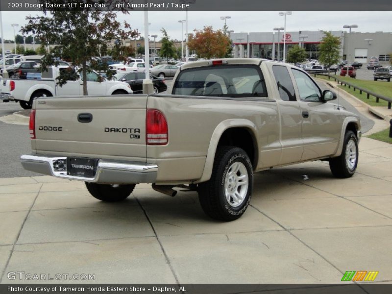 Light Almond Pearl / Taupe 2003 Dodge Dakota SLT Club Cab