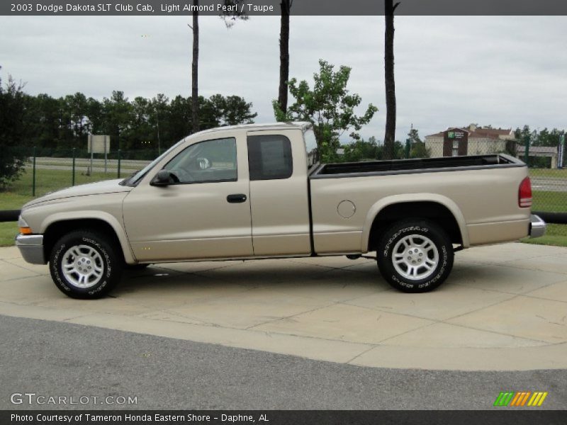 Light Almond Pearl / Taupe 2003 Dodge Dakota SLT Club Cab