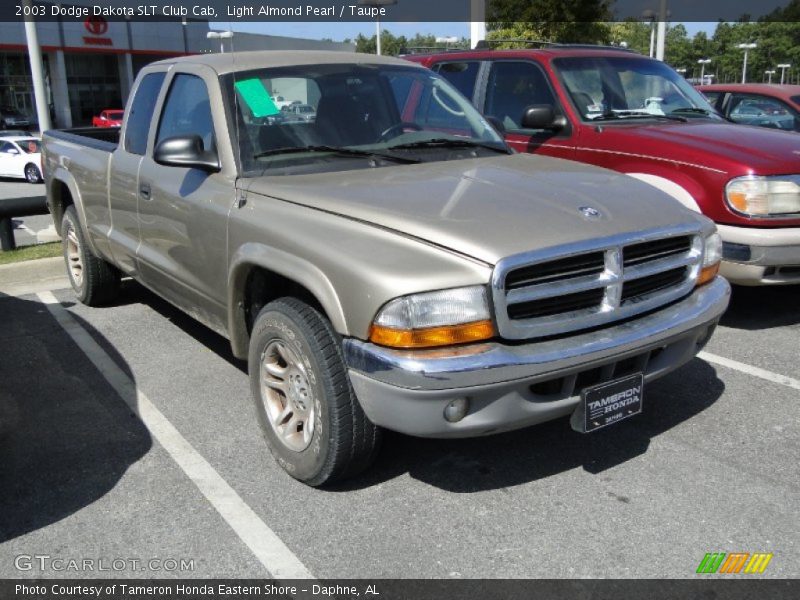 Light Almond Pearl / Taupe 2003 Dodge Dakota SLT Club Cab