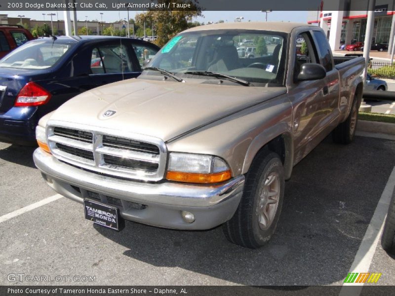 Light Almond Pearl / Taupe 2003 Dodge Dakota SLT Club Cab