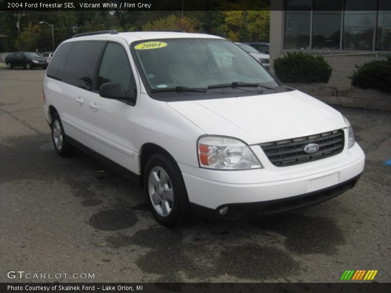 Vibrant White / Flint Grey 2004 Ford Freestar SES
