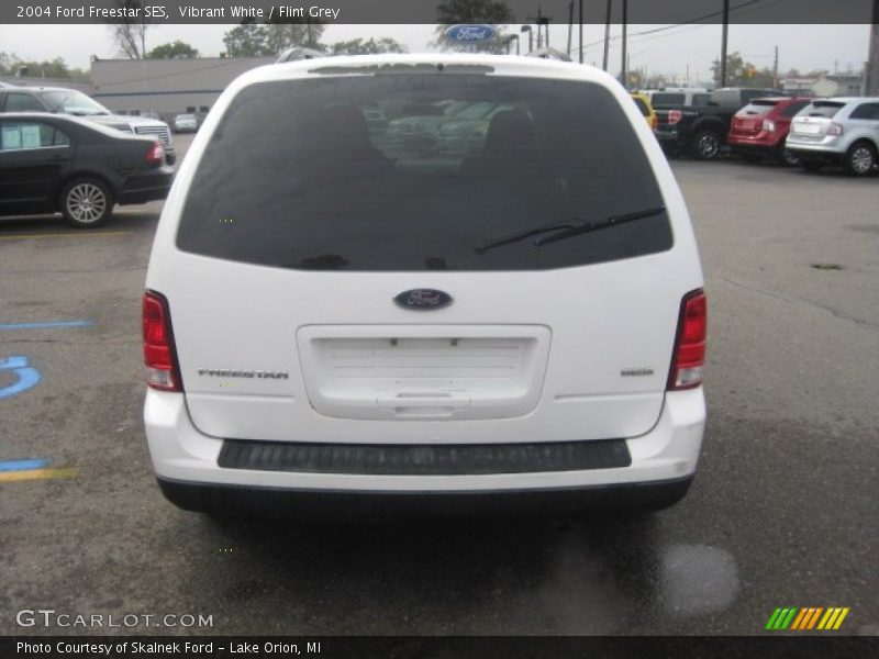 Vibrant White / Flint Grey 2004 Ford Freestar SES