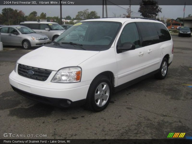 Vibrant White / Flint Grey 2004 Ford Freestar SES