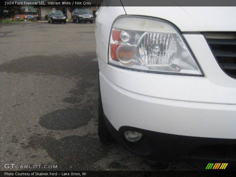 Vibrant White / Flint Grey 2004 Ford Freestar SES