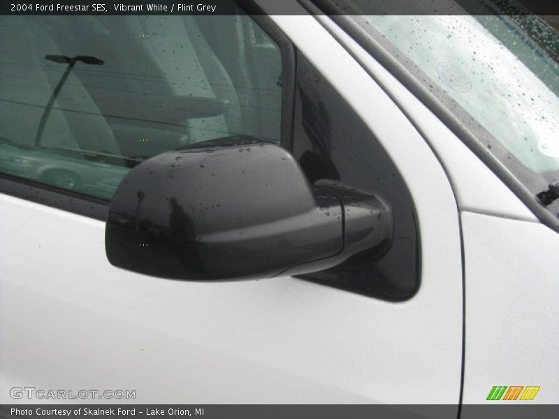 Vibrant White / Flint Grey 2004 Ford Freestar SES