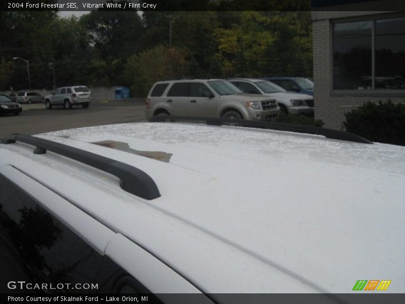 Vibrant White / Flint Grey 2004 Ford Freestar SES