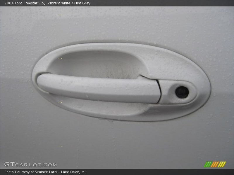 Vibrant White / Flint Grey 2004 Ford Freestar SES