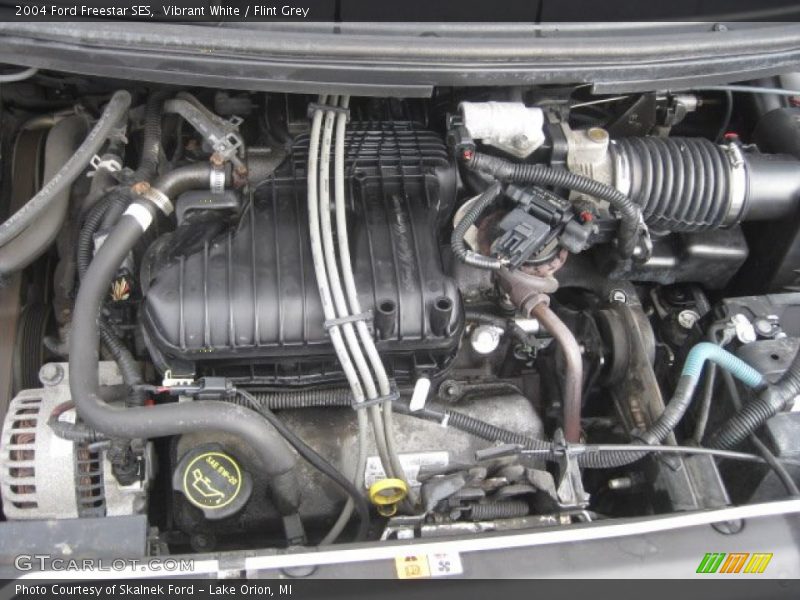 Vibrant White / Flint Grey 2004 Ford Freestar SES