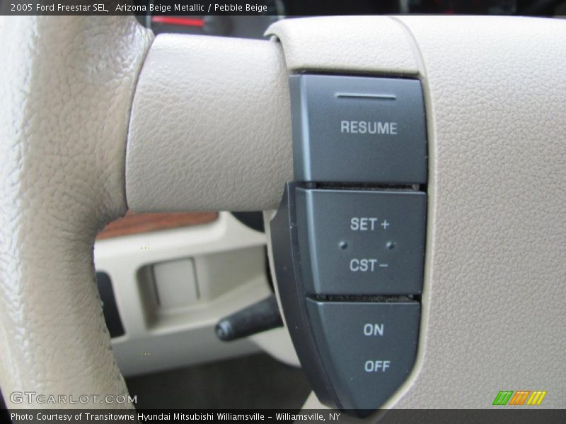 Arizona Beige Metallic / Pebble Beige 2005 Ford Freestar SEL