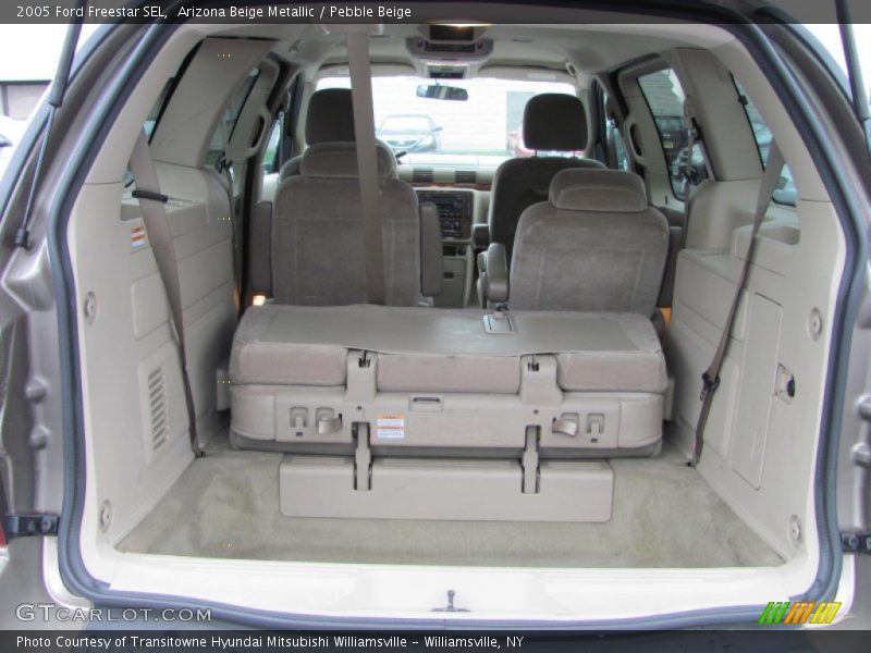 Arizona Beige Metallic / Pebble Beige 2005 Ford Freestar SEL