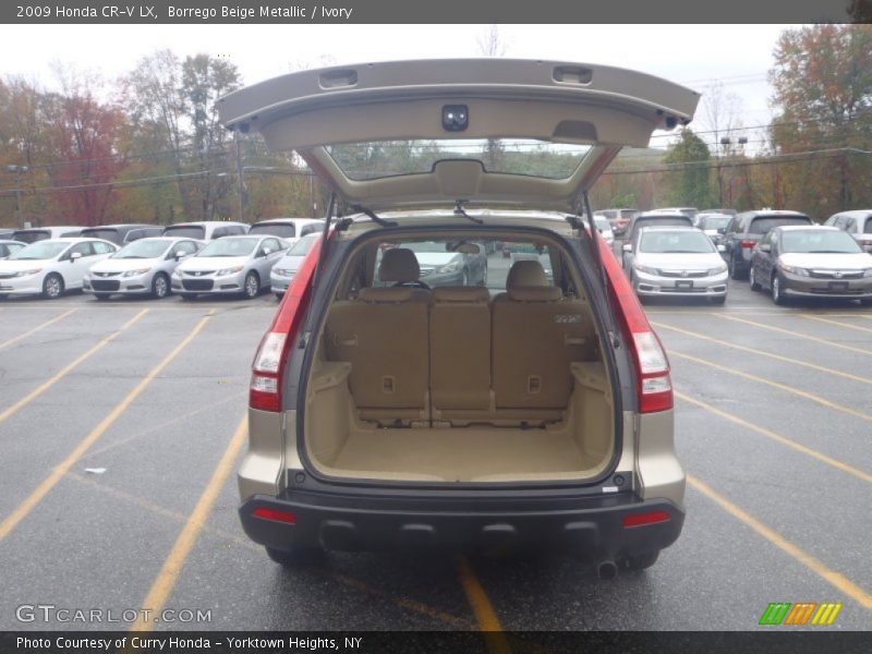 Borrego Beige Metallic / Ivory 2009 Honda CR-V LX